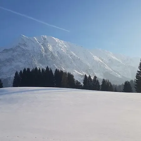 Apartman Tauplitz Daire *