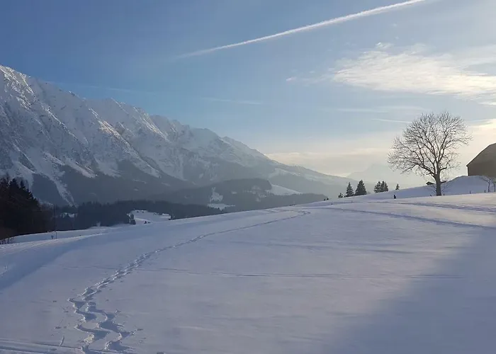 陶普利茨公寓 陶普利茨